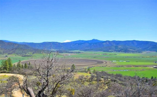 0 Scott River Rd, Fort Jones, CA 96032 - photo 4
