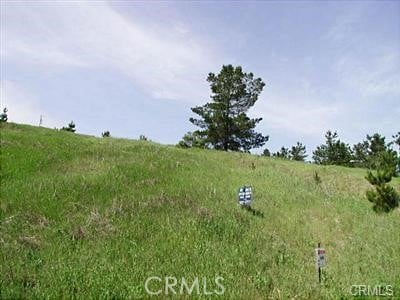 0 London Ln, Cambria, CA 93428 - photo 9