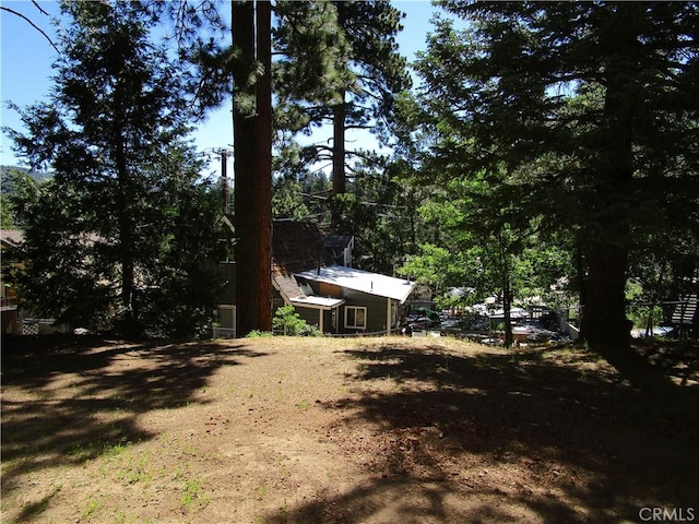 2493 Palo Alto Way, Running Springs, CA 92382 - view of yard
