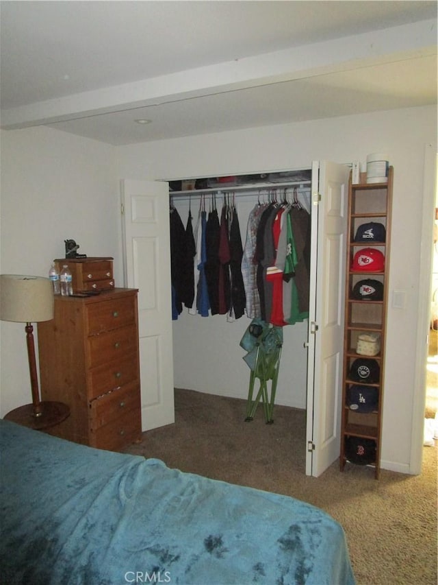 2493 Palo Alto Way, Running Springs, CA 92382 - bedroom featuring carpet floors and a closet
