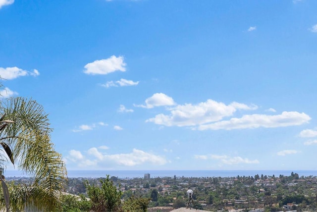 3903 Cadden Way, San Diego, CA 92117 - exterior space