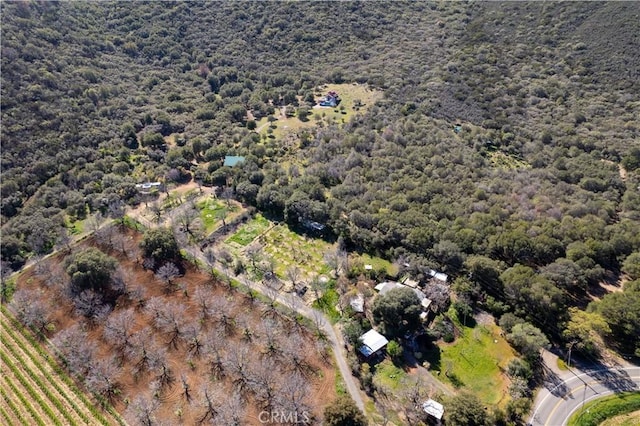 8993 Soda Bay Rd, Kelseyville, CA 95451 - photo 45