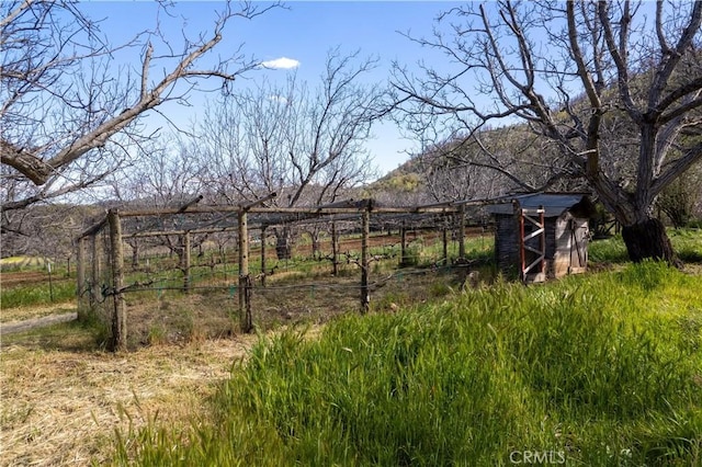 8993 Soda Bay Rd, Kelseyville, CA 95451 - photo 30