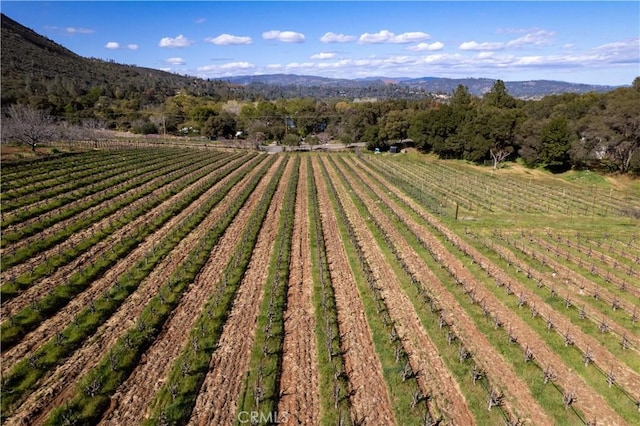 8993 Soda Bay Rd, Kelseyville, CA 95451 - photo 32