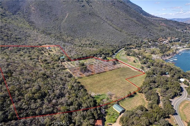 8993 Soda Bay Rd, Kelseyville, CA 95451 - photo 36