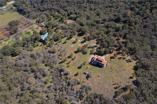 8993 Soda Bay Rd, Kelseyville, CA 95451 - photo 44