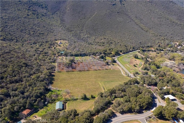 8993 Soda Bay Rd, Kelseyville, CA 95451 - photo 42