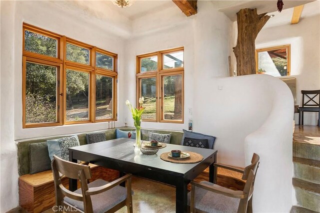 8993 Soda Bay Rd, Kelseyville, CA 95451 - photo 12