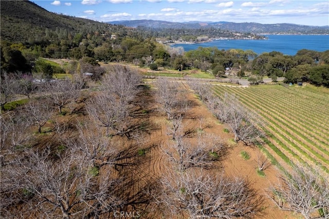 8993 Soda Bay Rd, Kelseyville, CA 95451 - photo 33