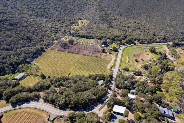 8993 Soda Bay Rd, Kelseyville, CA 95451 - photo 43