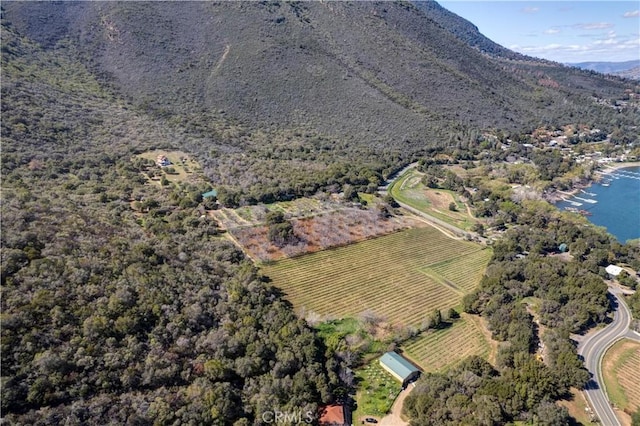 8993 Soda Bay Rd, Kelseyville, CA 95451 - photo 37