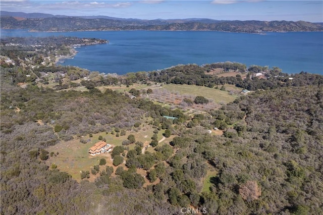8993 Soda Bay Rd, Kelseyville, CA 95451 - photo 40