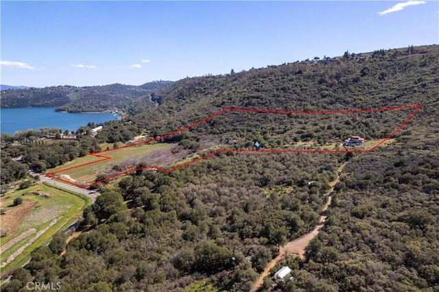 8993 Soda Bay Rd, Kelseyville, CA 95451 - photo 38
