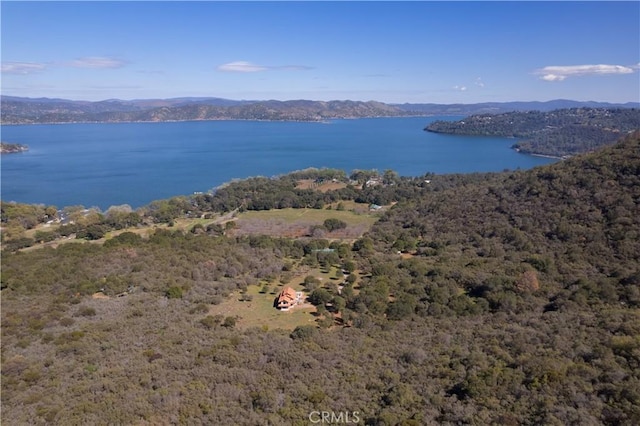 8993 Soda Bay Rd, Kelseyville, CA 95451 - photo 35