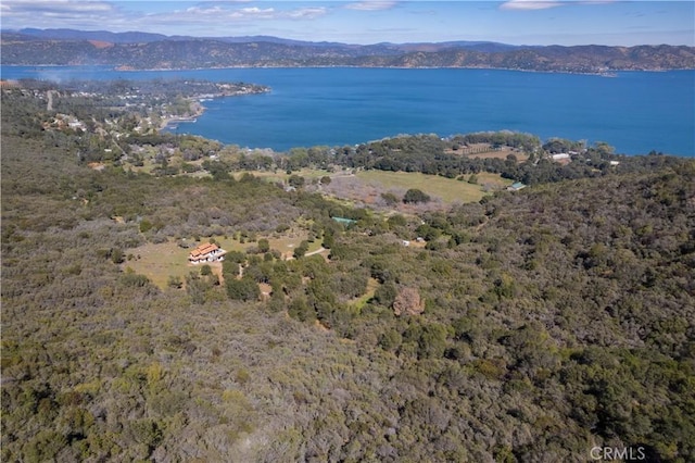 8993 Soda Bay Rd, Kelseyville, CA 95451 - photo 41