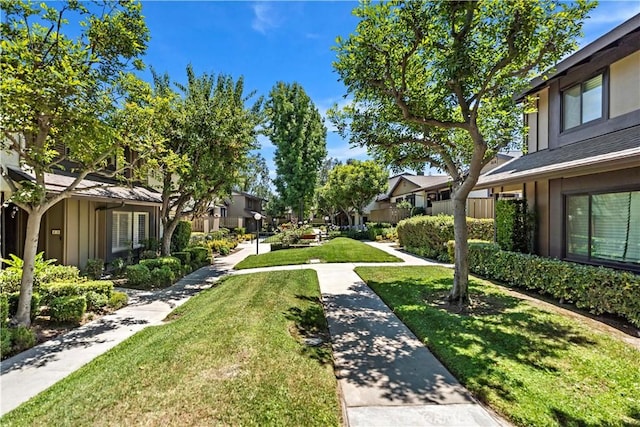 4366 Fairview Ave Unit 6, Arcadia, CA 91007 - view of community featuring a residential view and a lawn