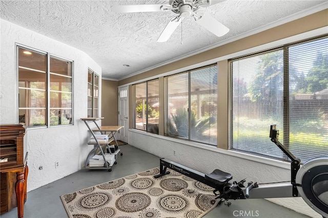 45 Covell Park Ave, Chico, CA 95926 - sunroom / solarium with concrete floors, a textured wall, a textured ceiling, and ornamental molding