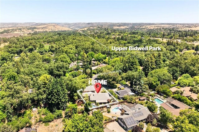 45 Covell Park Ave, Chico, CA 95926 - drone / aerial view of a forest