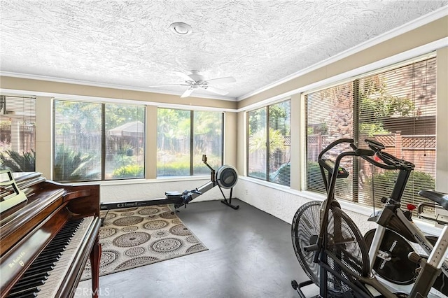 45 Covell Park Ave, Chico, CA 95926 - workout area with a textured ceiling, ornamental molding, and a ceiling fan