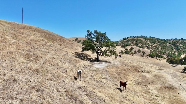 1924 Surrey Way, Paso Robles, CA 93446 - photo 37