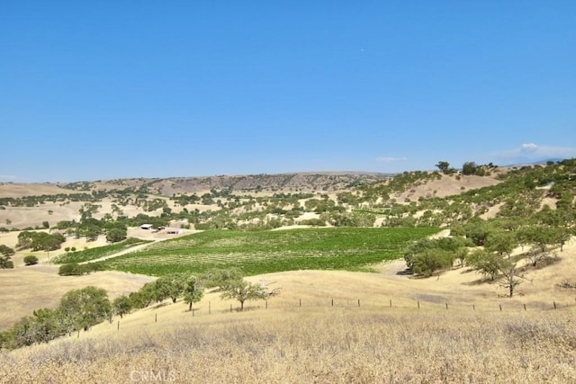1924 Surrey Way, Paso Robles, CA 93446 - photo 36