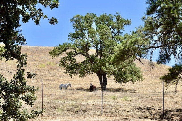 1924 Surrey Way, Paso Robles, CA 93446 - photo 40