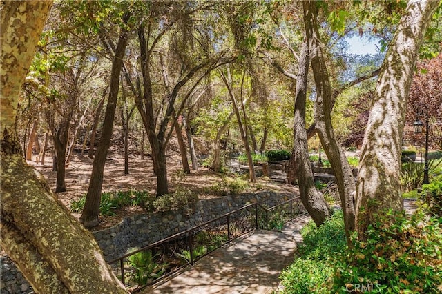 45200 Oak Manor Ct, Temecula, CA 92590 - view of yard