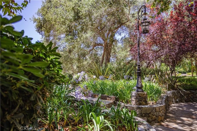 45200 Oak Manor Ct, Temecula, CA 92590 - view of yard