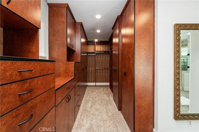45200 Oak Manor Ct, Temecula, CA 92590 - walk in closet with light colored carpet