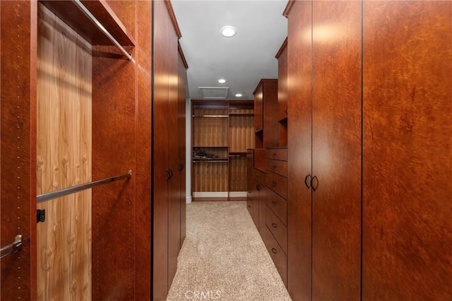 45200 Oak Manor Ct, Temecula, CA 92590 - spacious closet with light carpet and attic access
