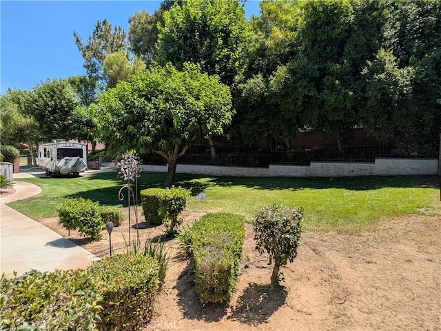 2622 Chauncy Pl, Riverside, CA 92506 - view of yard