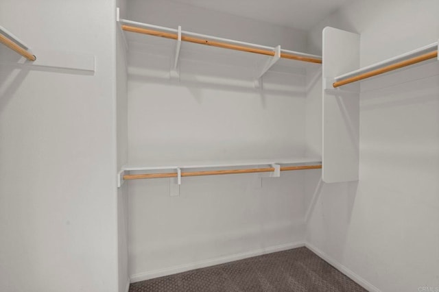 2333 Verano Way, Vista, CA 92081 - spacious closet with carpet