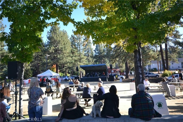 899 Mcalister Rd, Big Bear, CA 92314 - photo 23