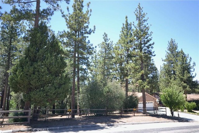 899 Mcalister Rd, Big Bear, CA 92314 - photo 6