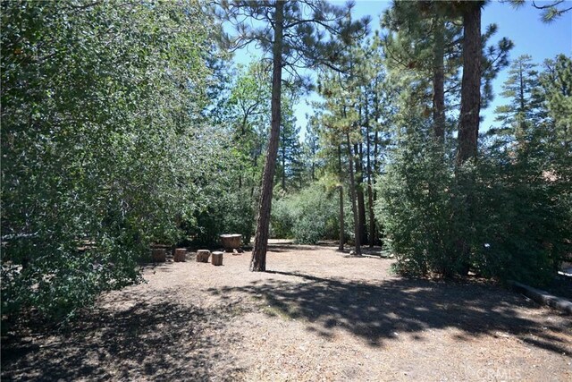 899 Mcalister Rd, Big Bear, CA 92314 - photo 4