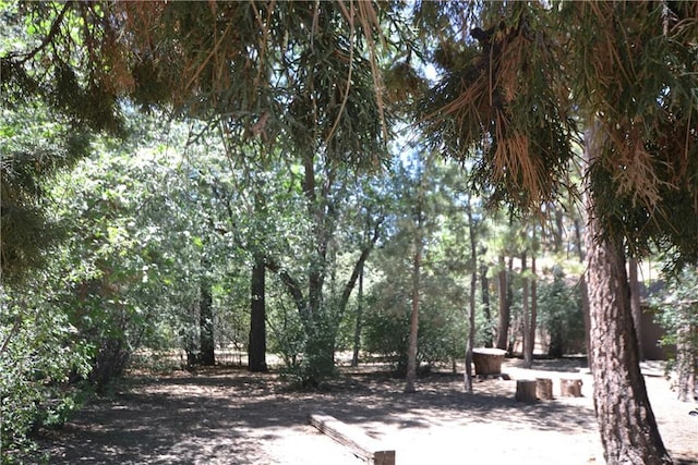 899 Mcalister Rd, Big Bear, CA 92314 - photo 5