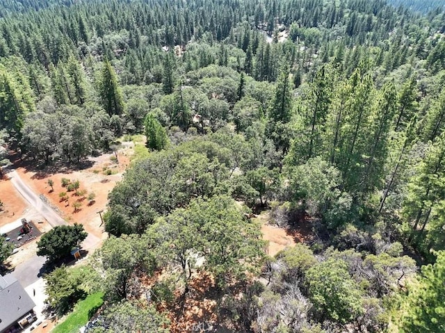 10740 Cole Way, Grass Valley, CA 95945 - photo 2