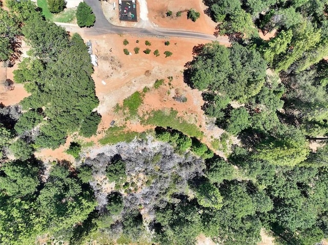 10740 Cole Way, Grass Valley, CA 95945 - photo 4