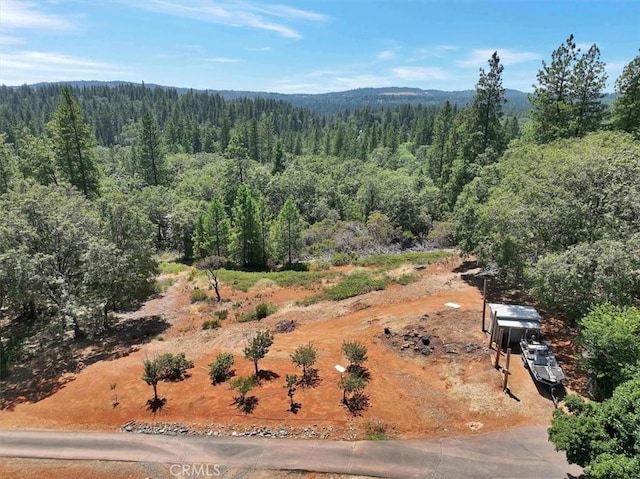 10740 Cole Way, Grass Valley, CA 95945 - photo 1