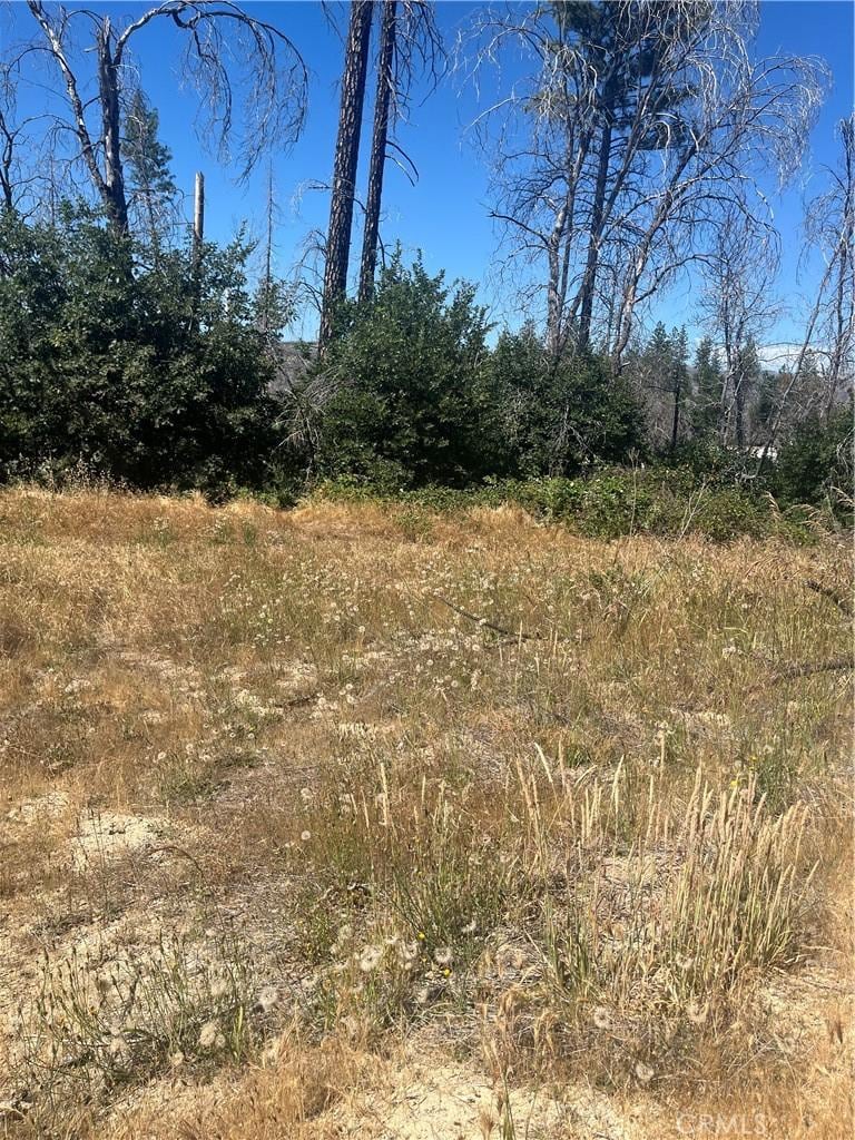 122 Simpson Ranch Rd, Berry Creek, CA 95916