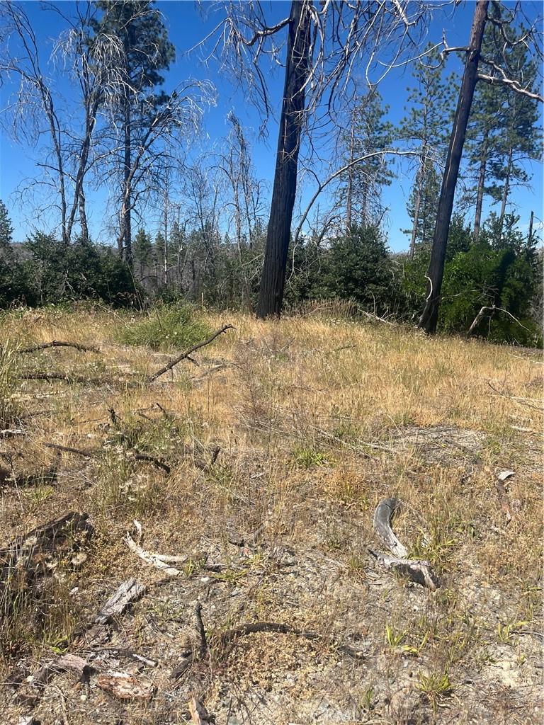 122 Simpson Ranch Rd, Berry Creek, CA 95916