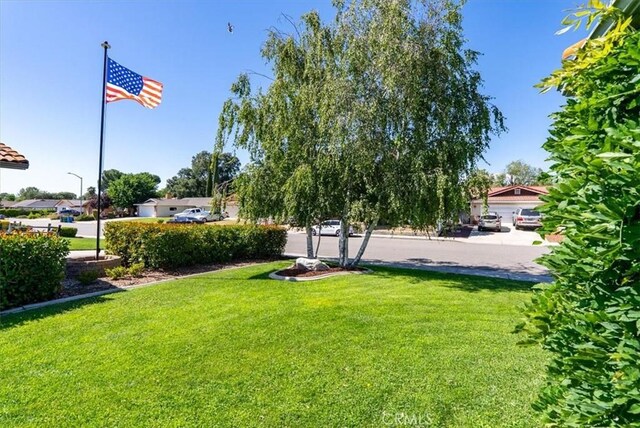 836 Bolen Dr, Paso Robles, CA 93446 - view of green lawn