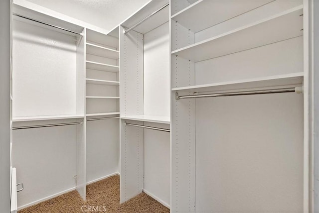 836 Bolen Dr, Paso Robles, CA 93446 - walk in closet with carpet flooring