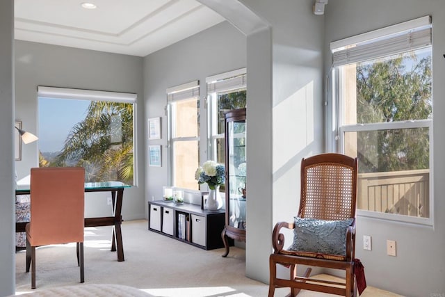 7243 Surfbird Cir, Carlsbad, CA 92011 - sunroom / solarium featuring healthy amount of natural light and arched walkways