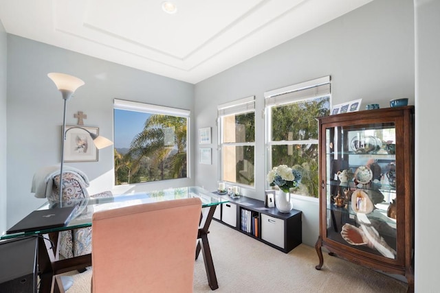 7243 Surfbird Cir, Carlsbad, CA 92011 - office area featuring healthy amount of natural light and light carpet