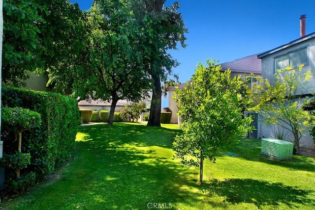 1718 Puente Ave Unit 40, Baldwin Park, CA 91706 - view of grassy yard