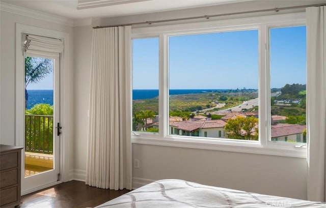 3 Atlantis Cv, Newport Coast, CA 92657 - bedroom with dark wood finished floors and crown molding