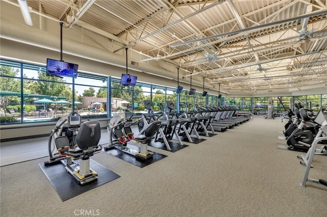1708 Snowberry Rd, Beaumont, CA 92223 - gym featuring carpet flooring