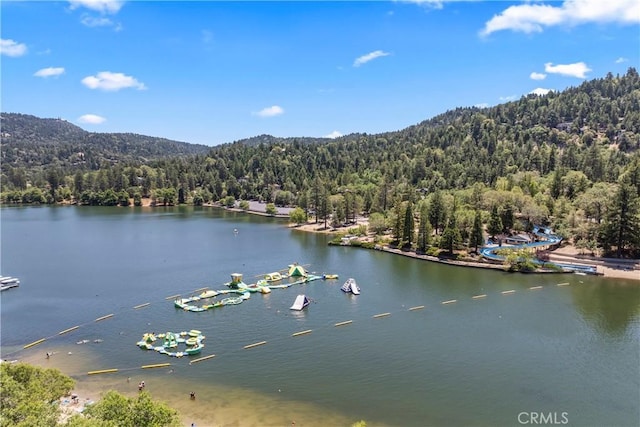 423 Thousand Pines Rd, Crestline, CA 92325 - photo 33