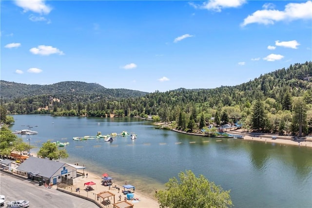 423 Thousand Pines Rd, Crestline, CA 92325 - photo 35